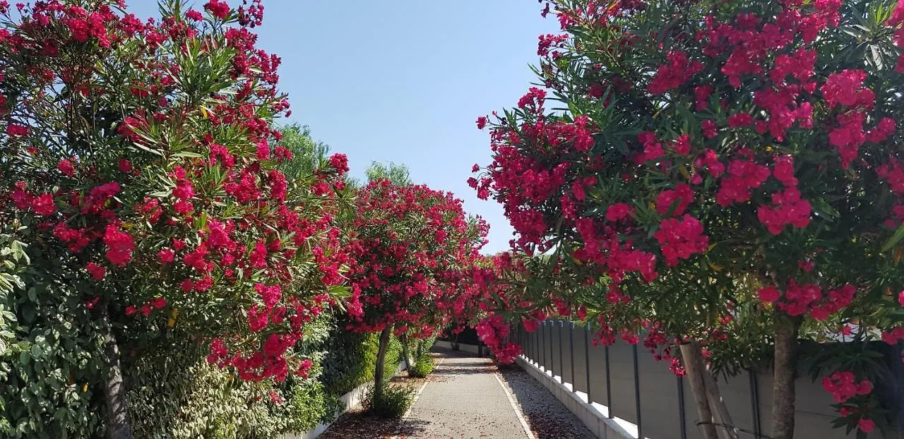 Appart 40 m2, 2 pièces près côte d'azur, piscine, parking, proche du Golf St Donat Mouans-Sartoux