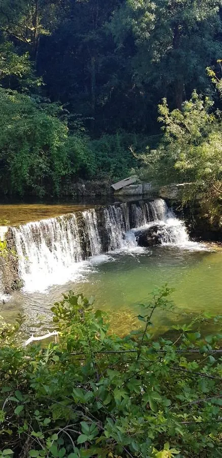 Appart 40 m2, 2 pièces près côte d'azur, piscine, parking, proche du Golf St Donat Mouans-Sartoux 0*,