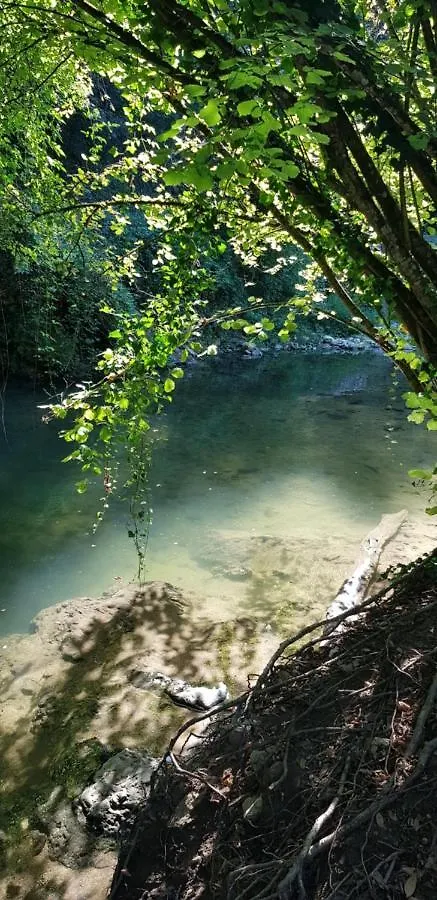 Albatros Appart 40 M2, 2 Pieces Pres Cote D'Azur, Piscine, Parking, Proche Du Golf St Donat Mouans-Sartoux